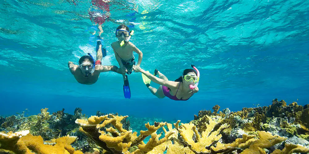/img/tours/snorkeling.jpg